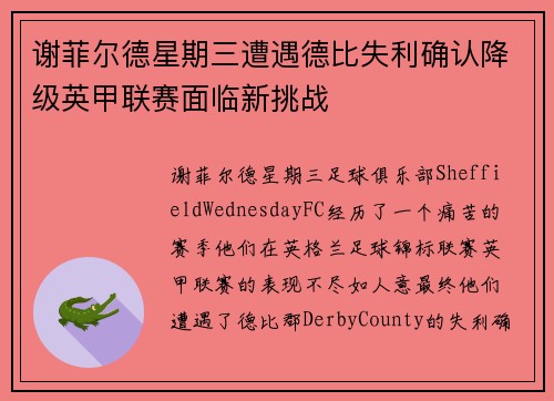 谢菲尔德星期三遭遇德比失利确认降级英甲联赛面临新挑战